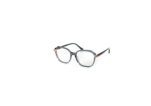 eye wear image