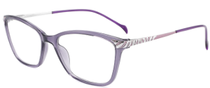 C6-PURPLE/SILVER